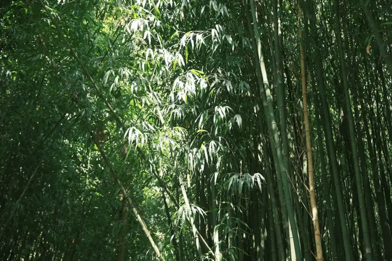 智能家居系统集成难点解析：江苏大道家居的技术实践与方案