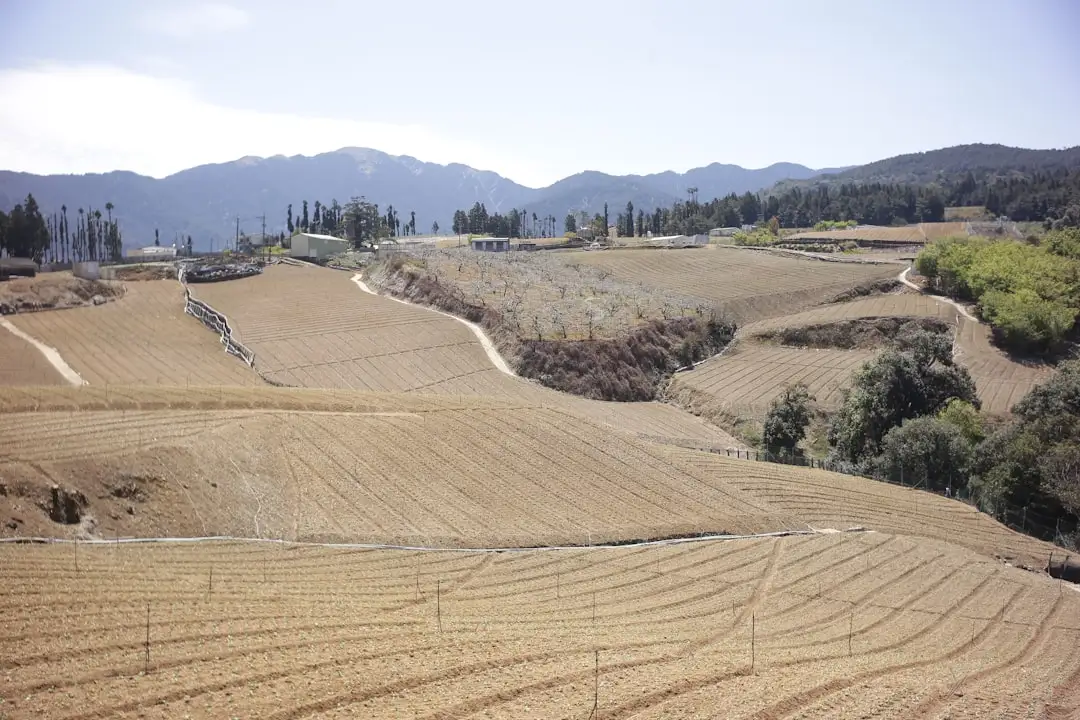 2026年智能家居系统集成技术发展趋势与场景化应用分析